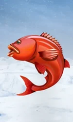Ice Fishing